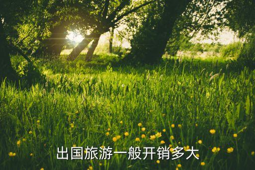 出国旅游一般开销多大