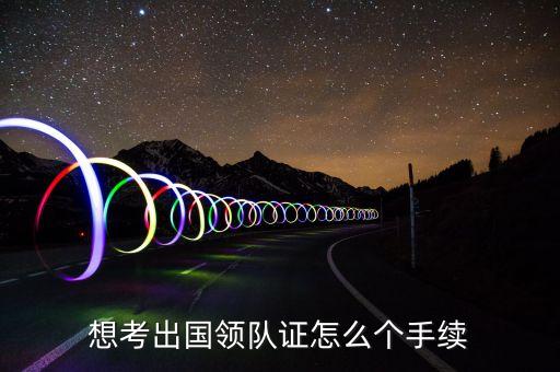 想考出国领队证怎么个手续