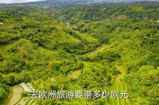 军人去国外旅游带多少现金，去英国及申根国探亲和旅游随身能带多少人民币英榜欧元