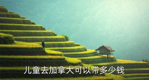 儿童去加拿大可以带多少钱