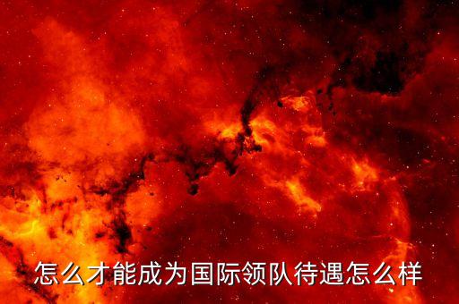 怎么才能成为国际领队待遇怎么样