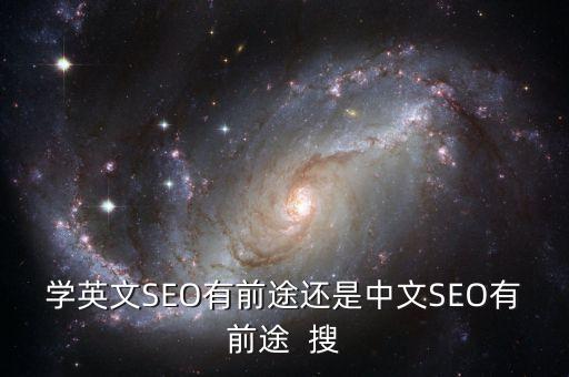 学英文SEO有前途还是中文SEO有前途  搜