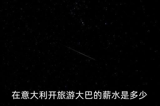 在意大利开旅游大巴的薪水是多少