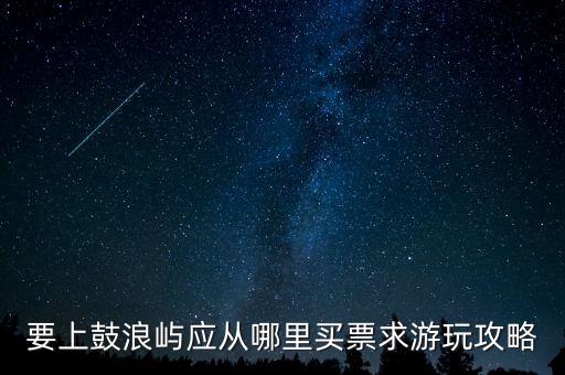 厦门国际旅游岛在哪里买票，请问厦门的旅游通票要去哪里买