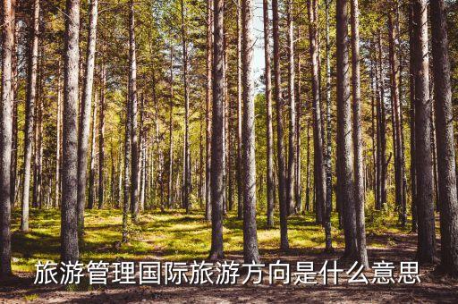旅游管理国际旅游方向是什么意思