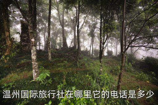 温州国际旅行社在哪里它的电话是多少
