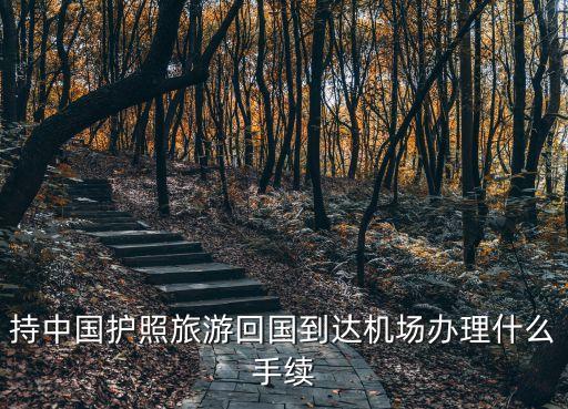 持中国护照旅游回国到达机场办理什么手续