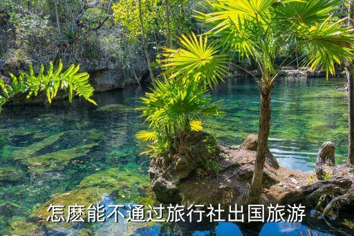 怎麽能不通过旅行社出国旅游