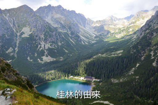 如何建设桂林国际旅游胜地，请你结合活动的体验为桂林市打造国际旅游胜地提两条合理化的建议