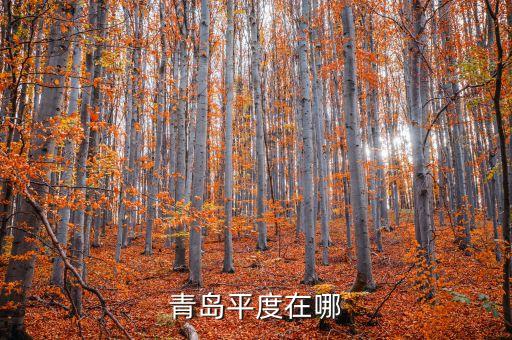 青岛平度在哪