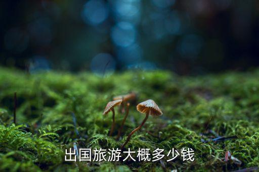 去国外旅游成本多少钱合适，出国旅游一般开销多大