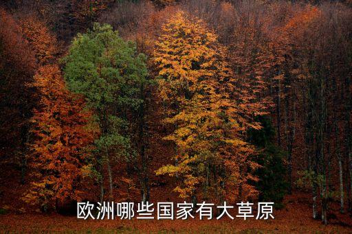 欧洲国际高端旅游指哪些，欧洲哪些国家有大草原