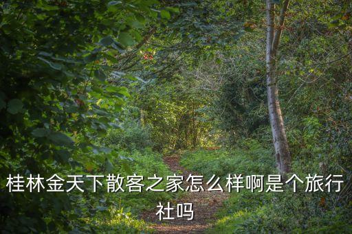 桂林金天下散客之家怎么样啊是个旅行社吗