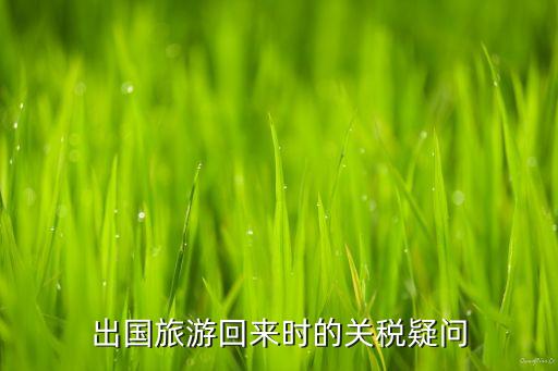 出国旅游回来时的关税疑问