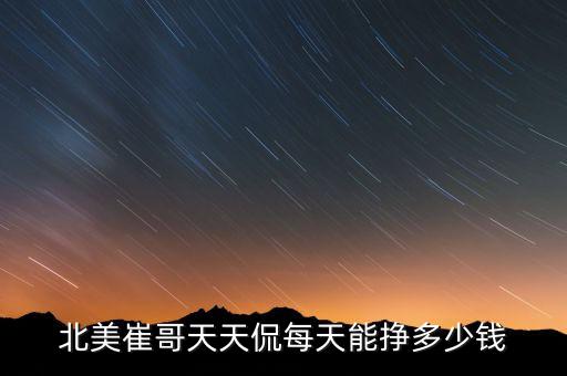 北美崔哥天天侃每天能挣多少钱