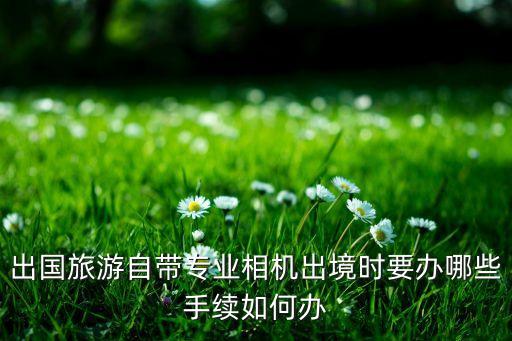 去国外旅游相机怎么申报，出境时携带的照相机或摄像机如何申报