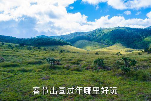 春节出国过年哪里好玩