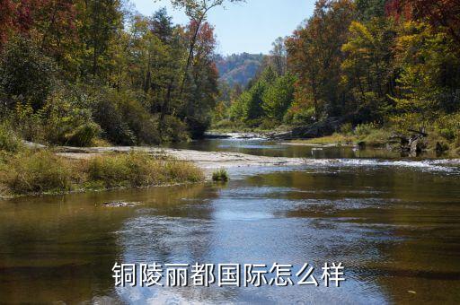 铜陵丽都国际怎么样