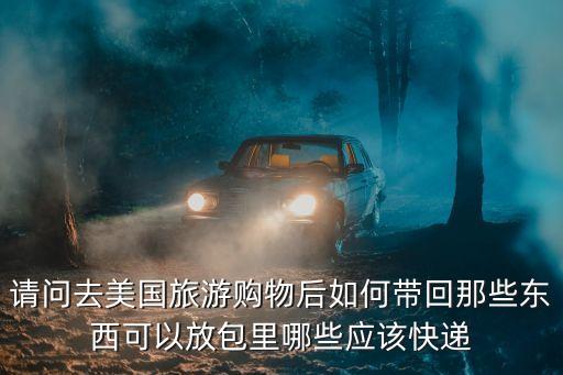 请问去美国旅游购物后如何带回那些东西可以放包里哪些应该快递