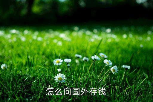 怎么向国外存钱