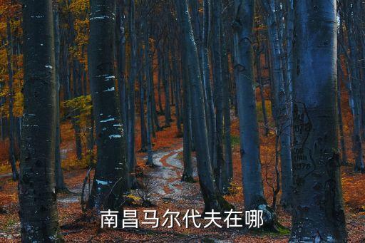 南昌国际旅游岛在哪里，南昌国旅的地址是什么
