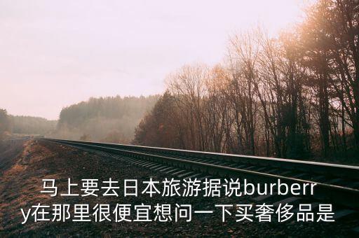 国外旅游怎么买爱马仕，爱马仕和范思哲英国哪里有卖