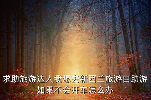求助旅游达人我想去新西兰旅游自助游如果不会开车怎么办
