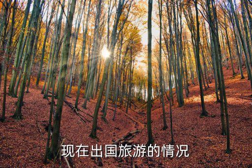 现在国外旅游现状如何，现在出国旅游的情况