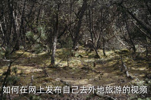 如何在网上发布自己去外地旅游的视频