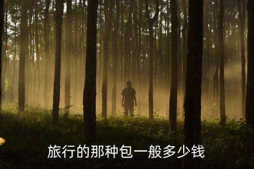 旅行的那种包一般多少钱