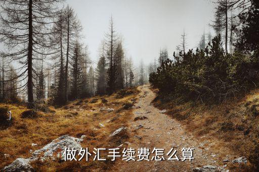做外汇手续费怎么算