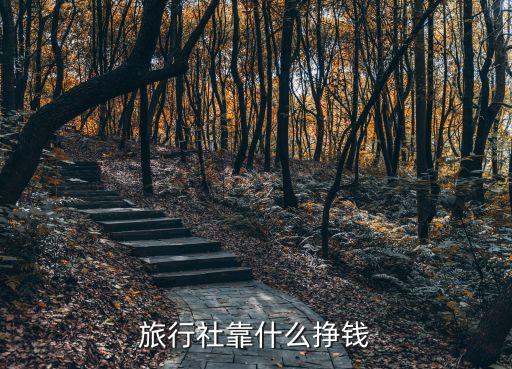 旅行社靠什么挣钱