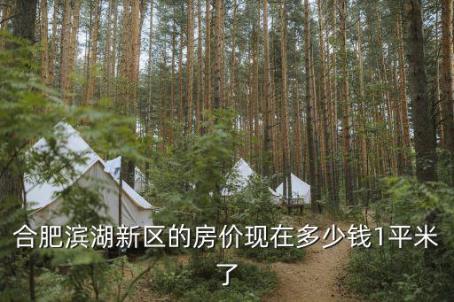合肥滨湖新区的房价现在多少钱1平米了