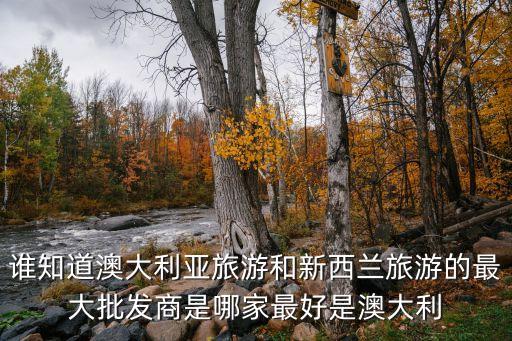 国际知名旅游批发商有哪些，国内欧洲批发商有哪些