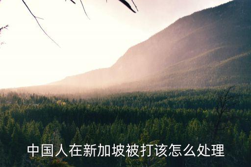中国人在新加坡被打该怎么处理