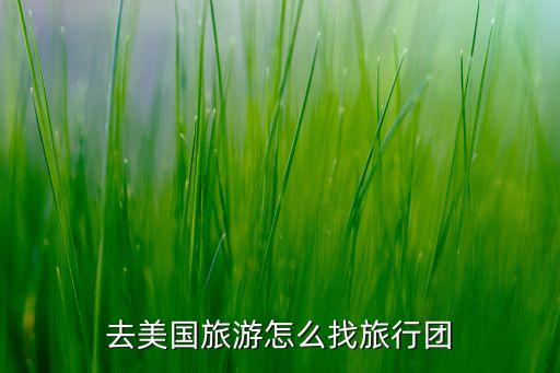 去美国旅游怎么找旅行团