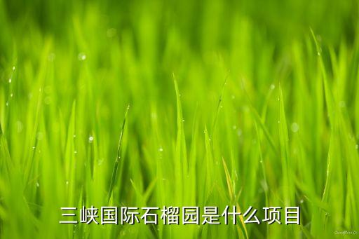 宜昌三峡国际旅游中心建造如何，湖北宜昌三大建筑公司分别是那三个公司