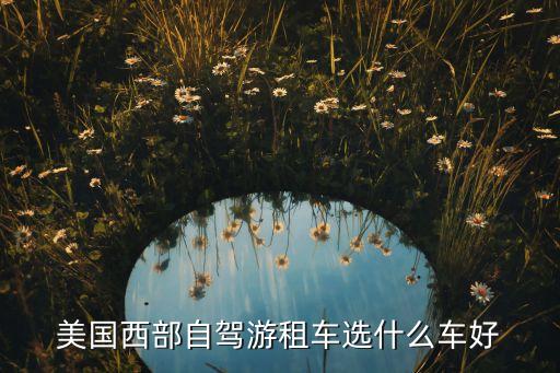 国外旅游怎么选车，买车选择哪个国家的好