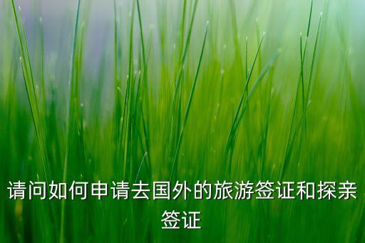 如何去国外寻亲旅游签证，我想去美国探望爷爷奶奶如何办理签证
