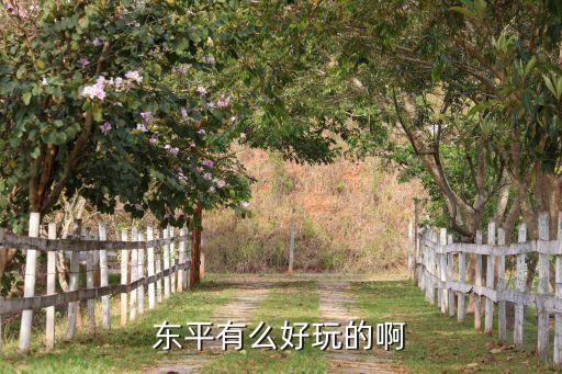 东平有么好玩的啊