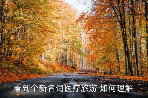看到个新名词医疗旅游 如何理解