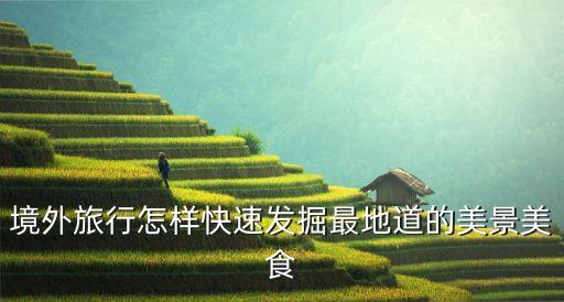 国外旅游怎么看周边的美食，有什么app在日本发现附近美食 像大众点评一样的 普及率高点的 谢谢