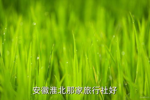 安徽淮北那家旅行社好