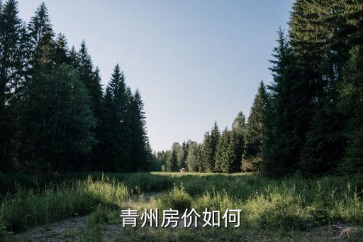 青州房价如何