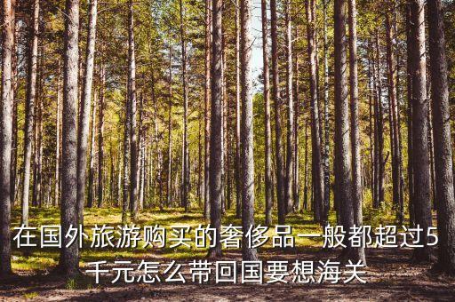 国外旅游买包如何带回国内，在国外旅游购买的奢侈品一般都超过5千元怎么带回国要想海关