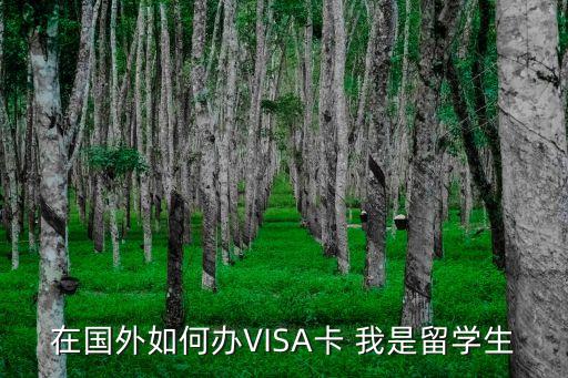 到国外旅游如何申请信用卡，在国外如何办VISA卡 我是留学生