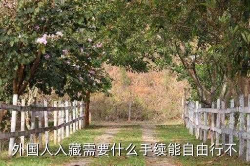 外国人入藏需要什么手续能自由行不