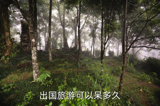 去国外自由旅游能待多久，出国旅游可以呆多久