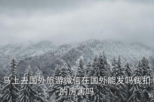马上去国外旅游微信在国外能发吗钱扣的厉害吗