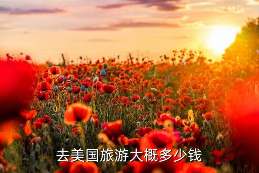 国外旅游多少钱一次，去趟美国多少钱